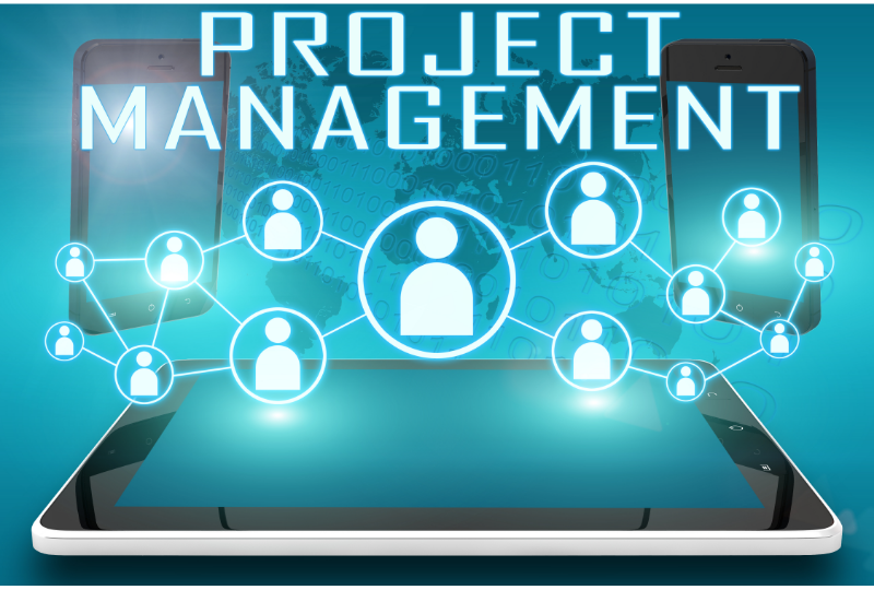 it-project-manager-project-manager